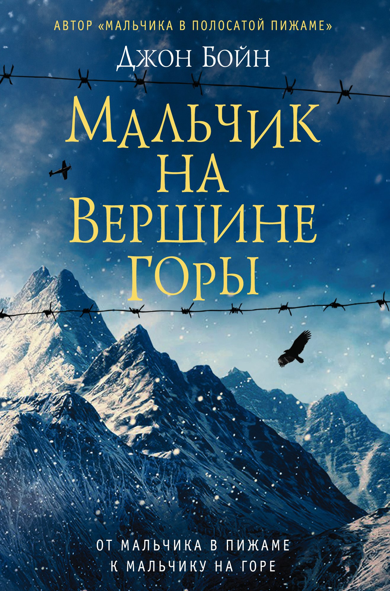 Мальчик На Вершине Горы [Джон Бойн] Купить Книгу В Киеве, Украина.