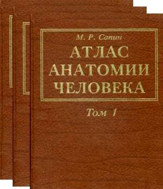 Атлас Анатомии Человека — Михаил Сапин | Купить Книгу Атлас.