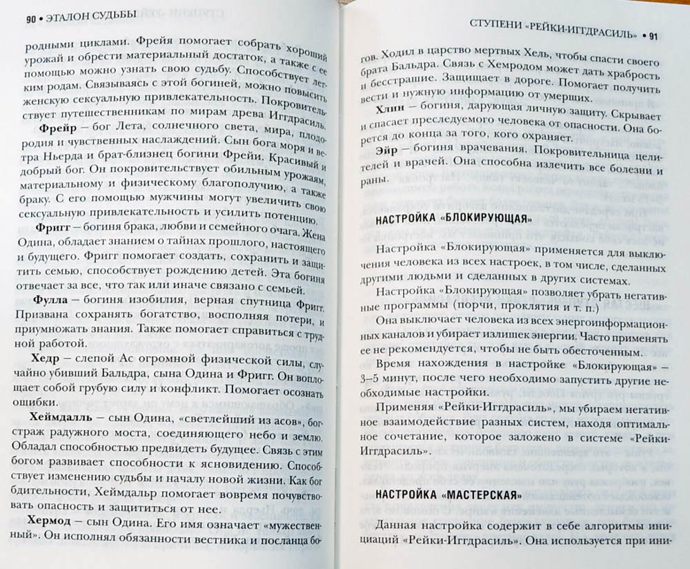 Читать онлайн «Базовый курс Дао Рейки‐Иггдрасиль», Николай Журавлев – ЛитРес