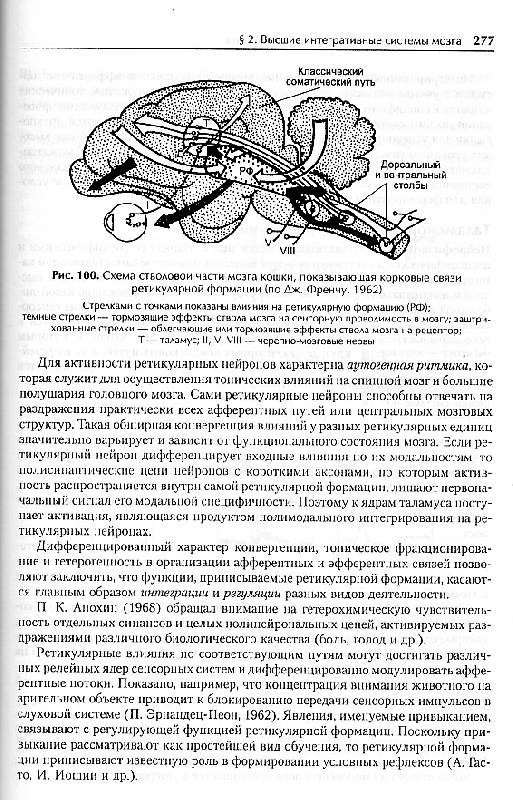 нейрофизиология физиология высшей нервной деятельности и сенсорных систем