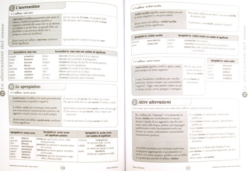 Grammatica avanzata della lingua italiana (libro)