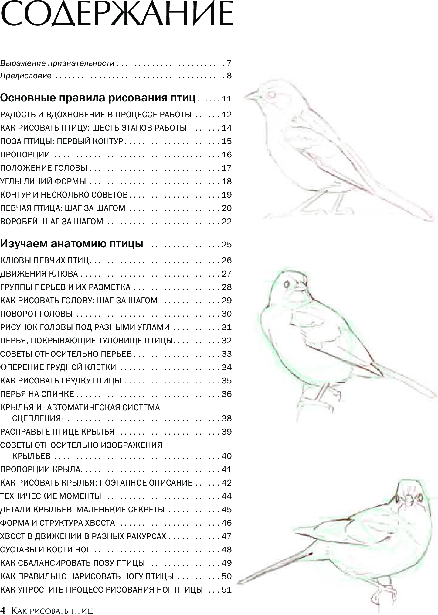 Рисуем Птичек Поэтапно Вместе С Детьми. Часть 2