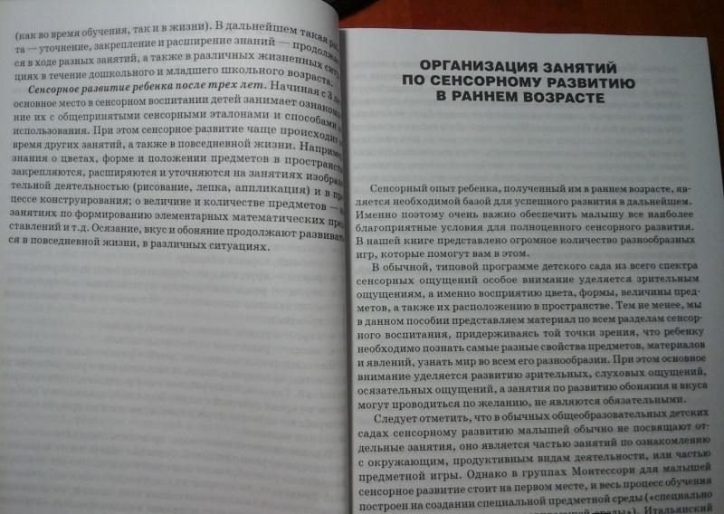 Дидактическая игра как средство сенсорного развития детей младшего дошкольного возраста