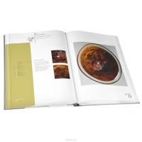 Большая кулинарная книга. Овощи и паста — Ален Дюкасс #5