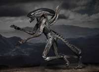 Фигурка Чужой: Завет - Ксеноморф (Alien: Covenant - Xenomorph 7" Action Figure) #6